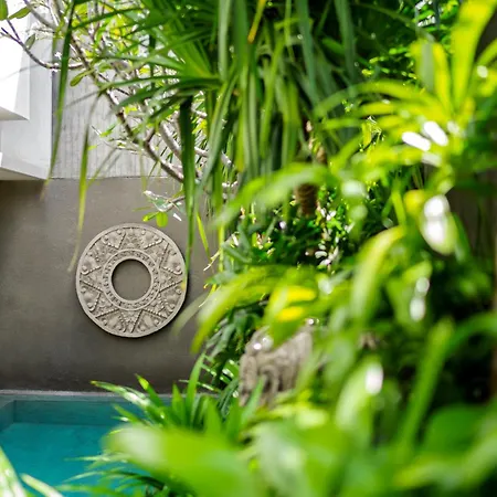 Blossom Eco Luxe Villas By Ekosistem